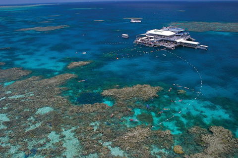 Ultimate 3-Day Great Barrier Reef Cruise Pass - Holiday Find 3