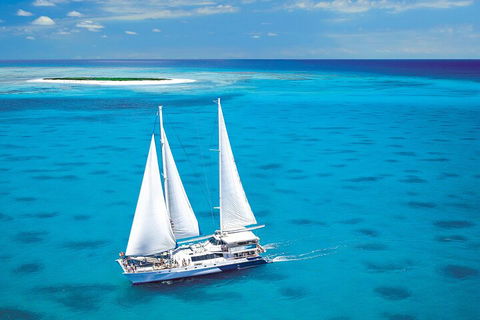 Ultimate 3-Day Great Barrier Reef Cruise Pass - Holiday Find 5