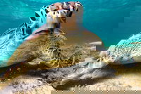 Sail Snorkel SUP  Kayak Charter Whitsundays, Airlie Beach