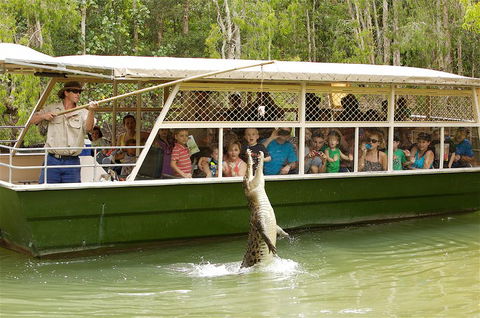 Hartley's Crocodile Adventure Half-Day Tour - Holiday Find 0
