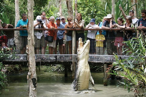 Hartley's Crocodile Adventure Half-Day Tour - Holiday Find 1