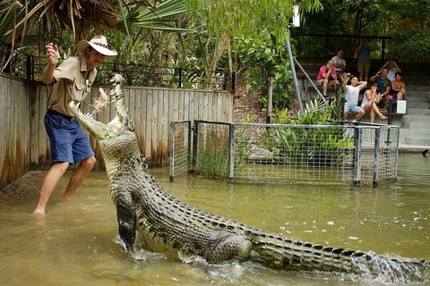 Hartley's Crocodile Adventure Half-Day Tour - Holiday Find 2