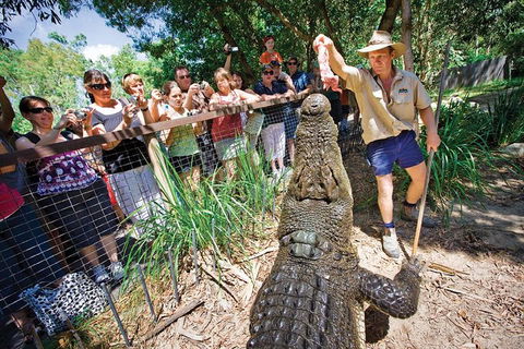Hartley's Crocodile Adventure Half-Day Tour - Holiday Find 4