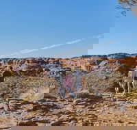 The Amazing Kings Canyon 4-Hours Walking Tour and Hike - Holiday Find