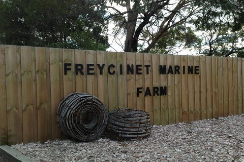 Active Day Tour One-Way From Launceston To Hobart Via Wineglass Bay - Holiday Find 3