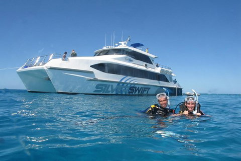 Silverswift Outer Great Barrier Reef Dive And Snorkel Cruise From Cairns - Holiday Find 4