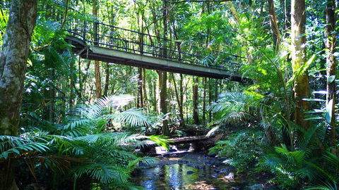 Double Pack-Ancient Rainforest And Waterfalls! - Holiday Find 0