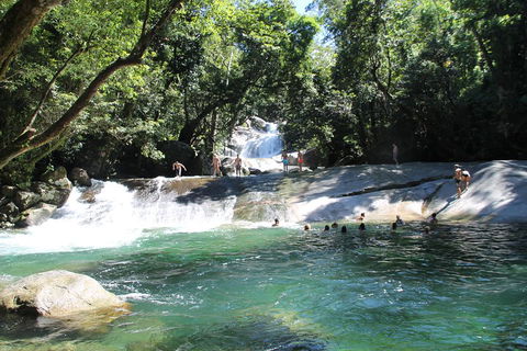 Double Pack-Ancient Rainforest And Waterfalls! - Holiday Find 2