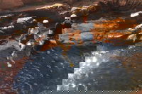 One Day Litchfield Park Adventures, Darwin