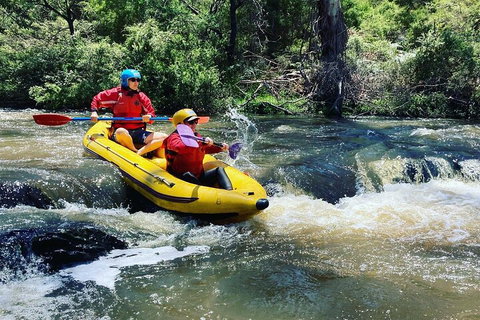 Yarra River Half-Day Rafting Experience - Holiday Find 4
