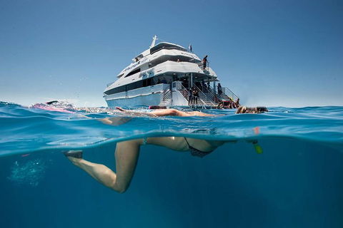 3 Day Great Barrier Reef, Daintree Rainforest And Outback Chillagoe Tour - Holiday Find 0