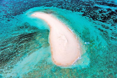 Private Coral Cay Bubbles Tour - Holiday Find 3