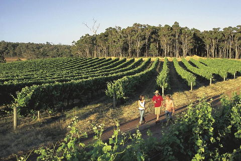 Margaret River, Caves, Wine And Cape Leeuwin Lighthouse Tour From Perth - Holiday Find 1