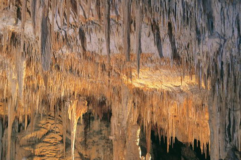 Margaret River, Caves, Wine And Cape Leeuwin Lighthouse Tour From Perth - Holiday Find 3