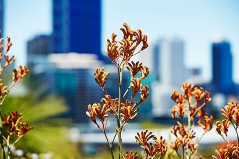 Best Of Perth Wildflower Season Day Trip - Holiday Find 4