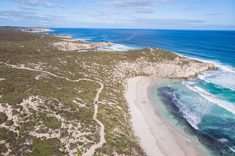 Small-Group Buggy Tour At Little Sahara With Guide - Holiday Find 4