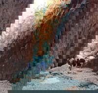 West MacDonnell Private Tour with Transfer - Holiday Find