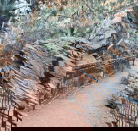 West MacDonnell Ranges Half - Day Tour - Holiday Find