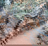 West MacDonnell Ranges Half-Day Private Charter Guided Tour - Holiday Find