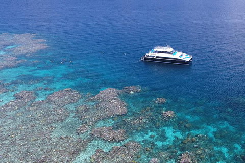 Calypso Outer Great Barrier Reef Cruise From Port Douglas - Holiday Find 4