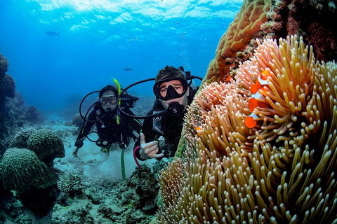 Full Day Reef Cruise Including 10 Minute Heli Scenic Flight: Get High Package - Holiday Find 5