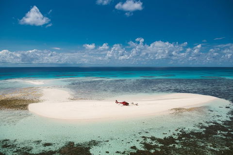 Private Helicopter Tour: Reef Island Snorkeling And Gourmet Picnic Lunch - Holiday Find 4