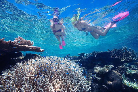 Great Barrier Reef Scenic Helicopter Tour And Cruise From Cairns - Holiday Find 3