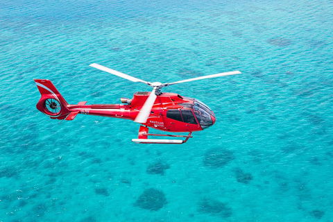 Cruise To Moore Reef Pontoon And Return Helicopter Flight From Cairns - Holiday Find 1