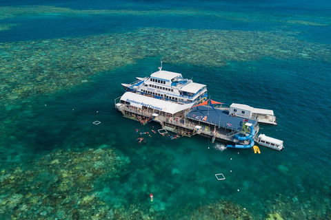 Cruise To Moore Reef Pontoon And Return Helicopter Flight From Cairns - Holiday Find 2