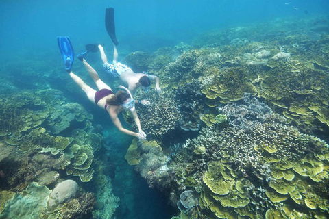 Cruise To Moore Reef Pontoon And Return Helicopter Flight From Cairns - Holiday Find 3