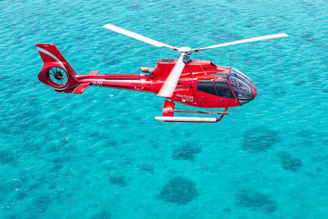 Helicopter And Cruise Packages From Port Douglas - Holiday Find 5