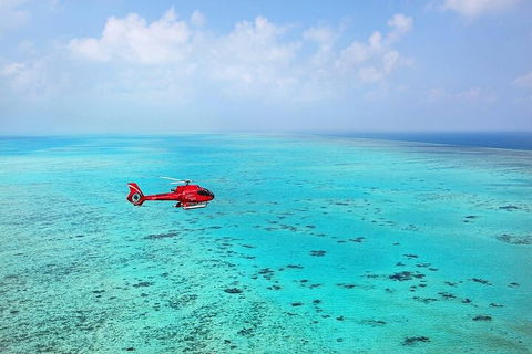 Ultimate Great Barrier Reef And Rainforest 45-minute Helicopter Tour - Holiday Find 2