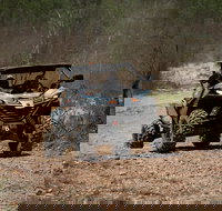 Octopussy 1.5 hour off-road tour in Darwin 1 person in 2 seater - Holiday Find