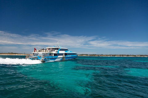 Rottnest Island All-Inclusive Grand Island Tour From Fremantle - Holiday Find 3
