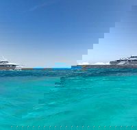 Rottnest Island Bayseeker Day Trip from Perth - Holiday Find