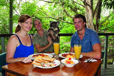 Breakfast With The Koalas At Hartley's Crocodile Park From Cairns Or Palm Cove - Holiday Find 0