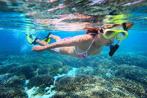 Abrolhos Islands Scenic Flight & Snorkel Adventure From Perth - Holiday Find 1