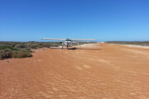 Abrolhos Islands Scenic Flight & Snorkel Adventure From Perth - Holiday Find 3