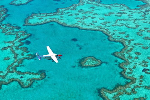 Reef And Island Scenic Flight From Airlie Beach - Holiday Find 4