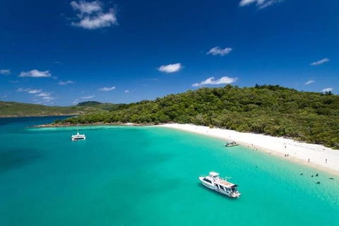 Whitehaven Beach And Hill Inlet | Awesome Beach BBQ | Family Friendly - Holiday Find 3
