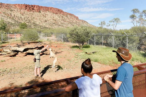 Alice Springs Desert Park General Entry Ticket - Holiday Find 4