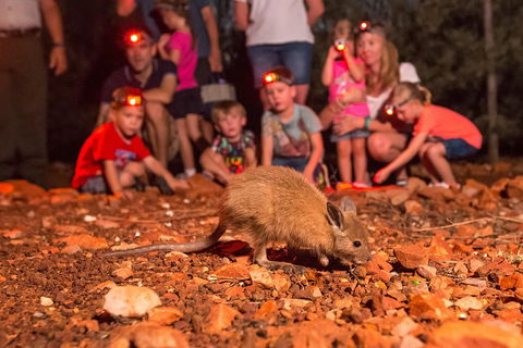 Alice Springs Desert Park Nocturnal Tour - Holiday Find 1