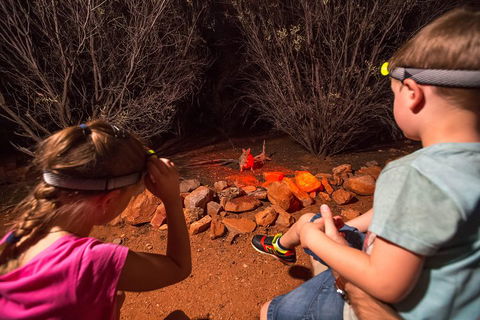 Alice Springs Desert Park Nocturnal Tour - Holiday Find 4