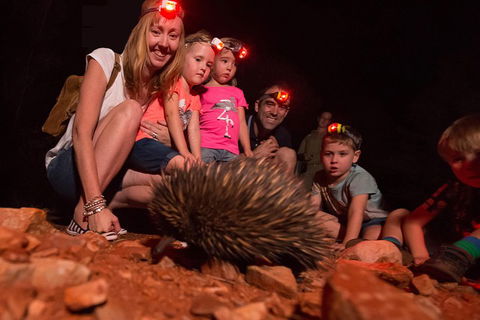 Alice Springs Desert Park Nocturnal Tour - Holiday Find 5