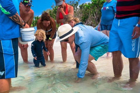 Whitehaven Beach And Hamilton Island Cruise - Holiday Find 1