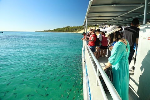 Adventure Moreton Island Wrecks Adventure Package - Holiday Find 1