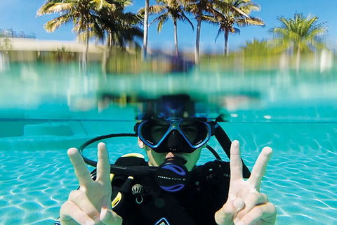 Adventure Moreton Island Scuba Dive Tour - Holiday Find 2