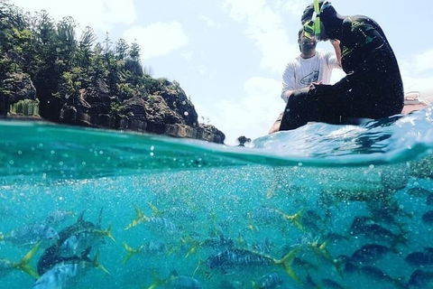 2 Night Small Group Whitsundays Sailing Adventure Aboard Mandrake - Holiday Find 5