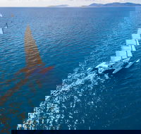 2-Night Whitsunday Islands Sailing Adventure on Trimaran Avatar - Holiday Find