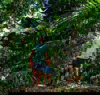 Full Day Daintree Rainforest and Mossman Gorge Tour - Holiday Find